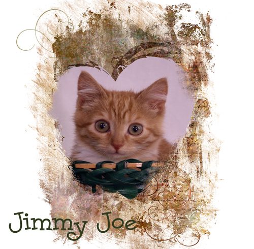 Jimmy Joe Jimmy Joe