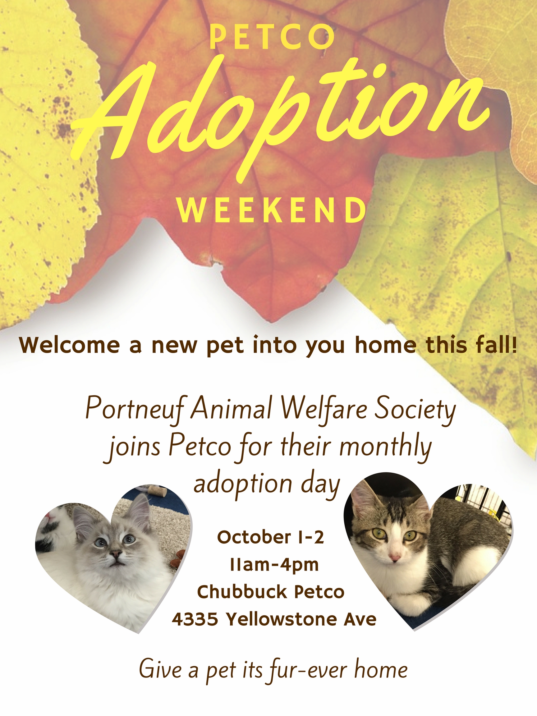 1 Portneuf Animal Welfare Society (PAWS)