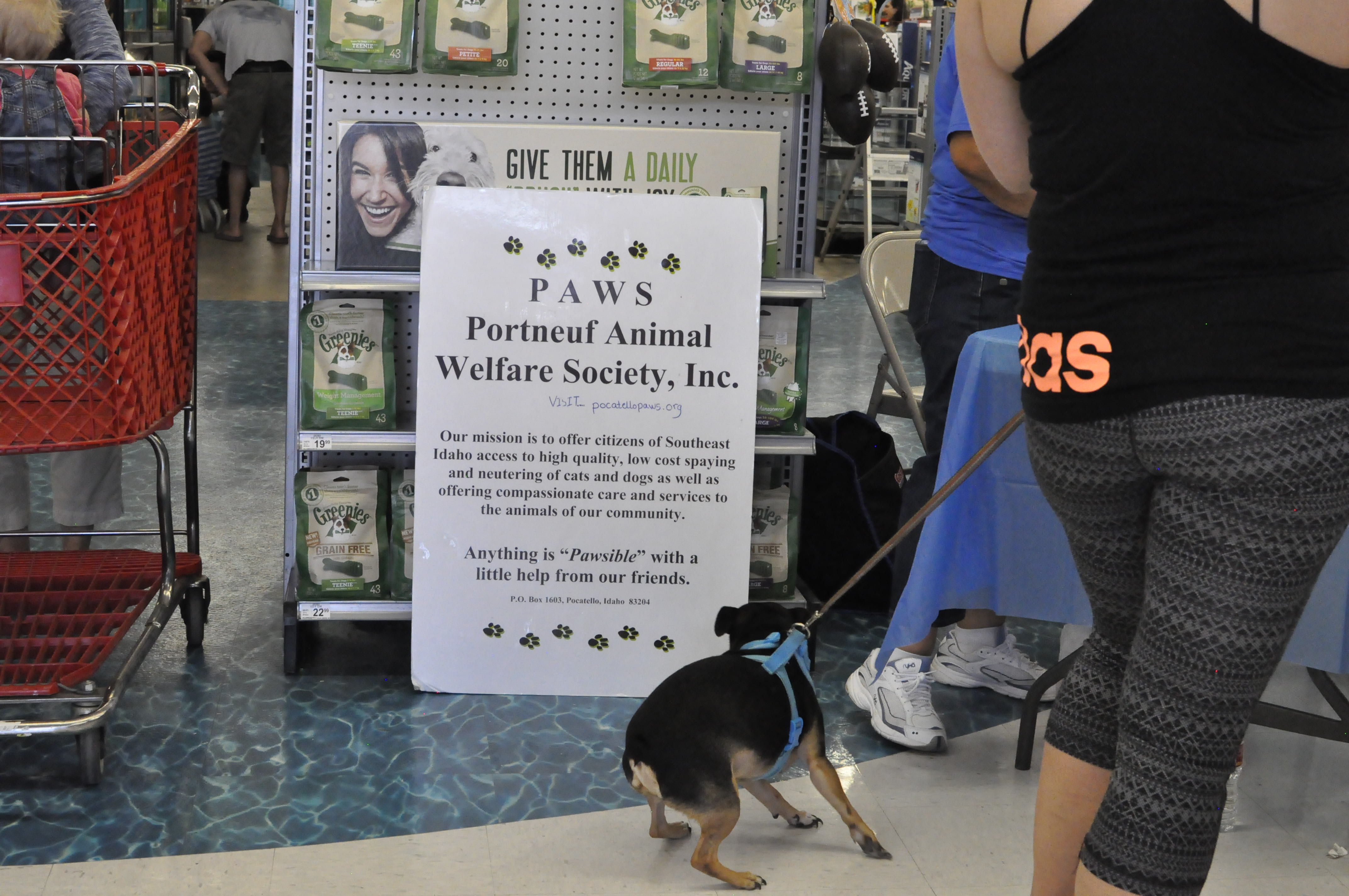 _DSC3568 Portneuf Animal Welfare Society (PAWS)