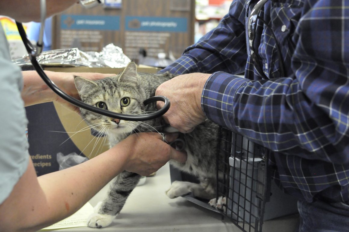 _DSC3631 Portneuf Animal Welfare Society (PAWS)