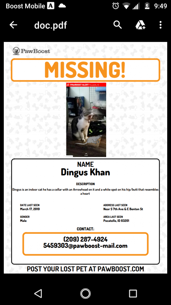 Dingus Khan Portneuf Animal Welfare Society (PAWS)